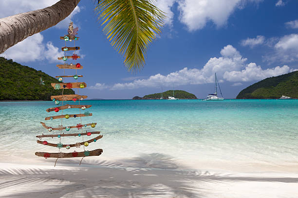 Christmas beach, Maho St John Drift wood Christmas tree hanging on a tropical beach in the Caribbean st john's plant stock pictures, royalty-free photos & images