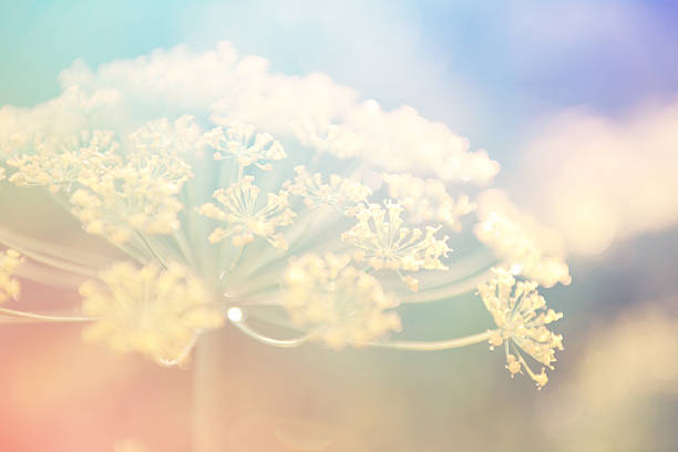 istock grass in a field in the sunshine 545345578