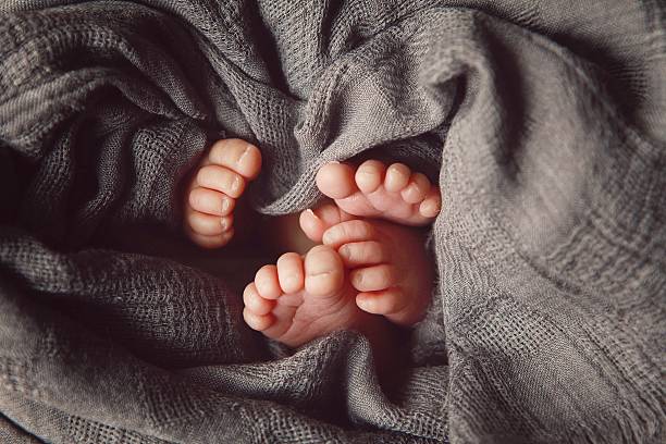 Tiny Toes of Newborn Twins stock photo