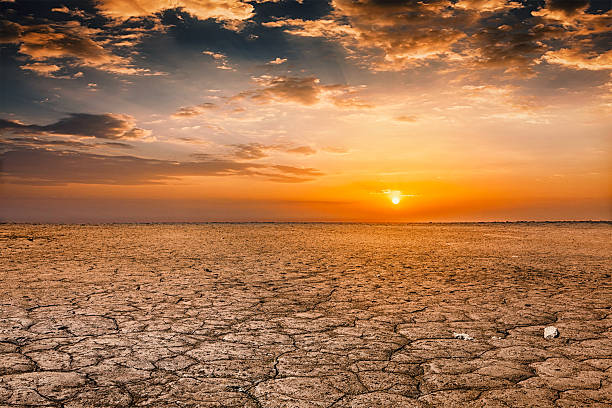 istock Cracked earth soil sunset landscape 545349218