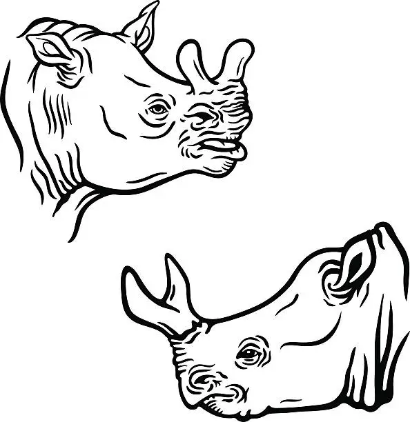 Vector illustration of Set of two brontotheriums' heads