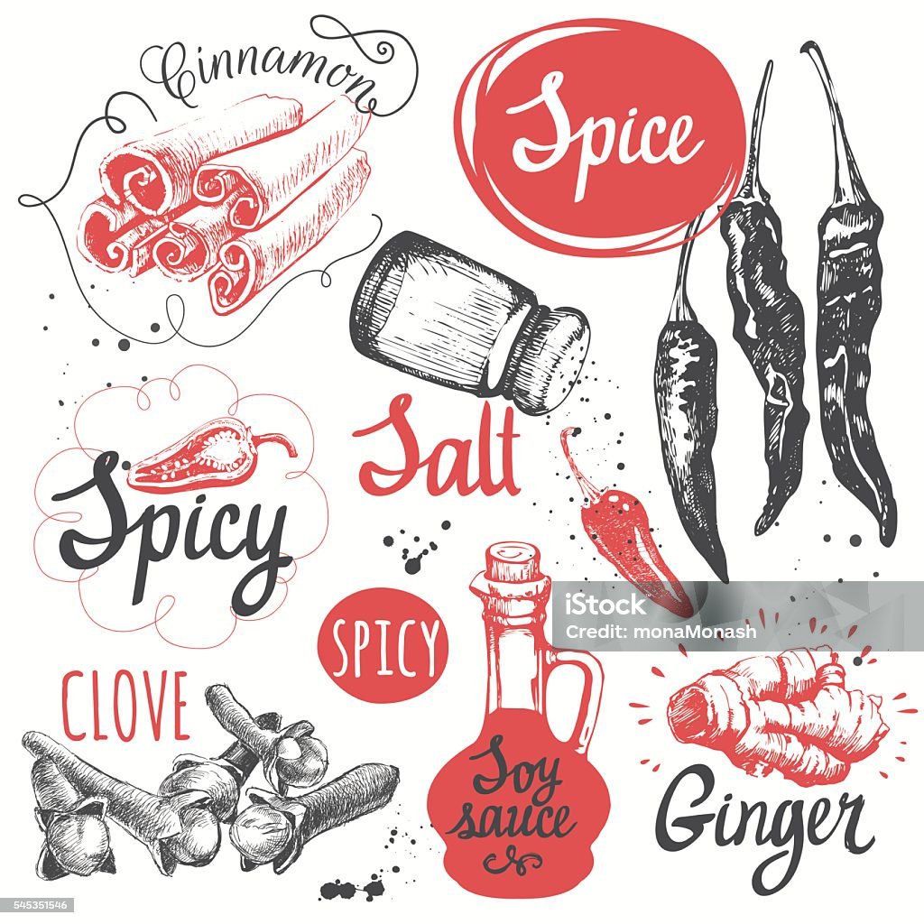 Sketch set with soy sauce, cloves, salt, pepper, cinnamon. Vector illustration with sketch spice. Funny labels of fresh vectorings and spices.  Pepper - Vegetable stock vector