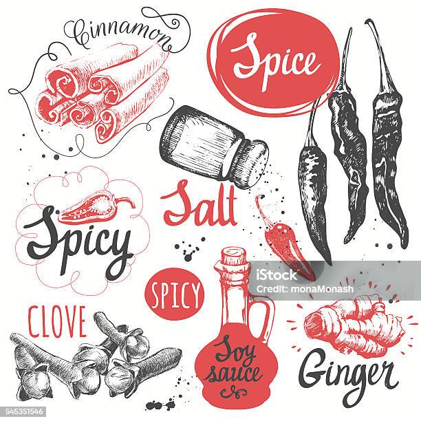 Sketch Set With Soy Sauce Cloves Salt Pepper Cinnamon Stock Illustration - Download Image Now