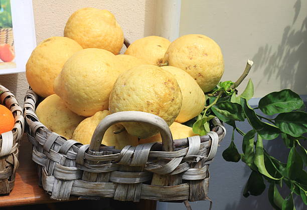 istock Very large lemons with green leaves 545352104