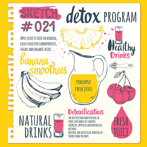 ilustraciones, imágenes clip art, dibujos animados e iconos de stock de cuaderno de bocetos de alimentos con programa de desintoxicación. - backgrounds banana berry fruit blended drink