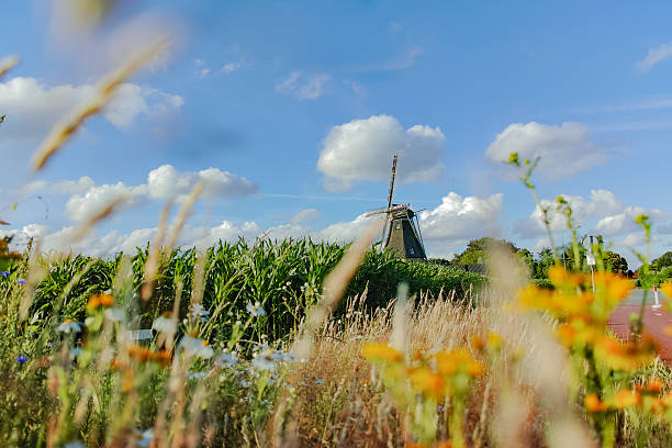paisagem com moinho holandês - eindhoven imagens e fotografias de stock
