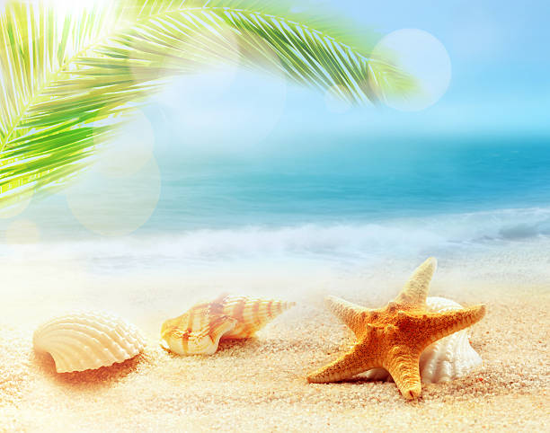 istock Starfish and seashells on the sandy beach. Summer concept. 545355534