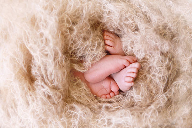 i piedi piccoli del neonato letti singoli - twin newborn baby baby girls foto e immagini stock