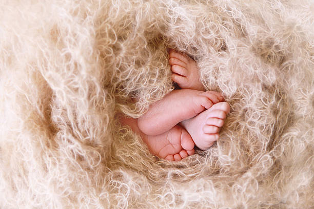 миниатюрные ножки новорожденных односпальными кроватями - twin baby newborn baby girls стоковые фото и изображения