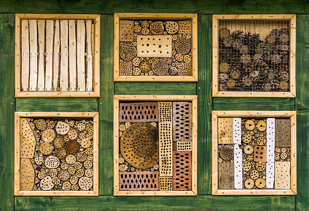 Do-It-Yourself  Wild Bee Hotel - Insect Hotel