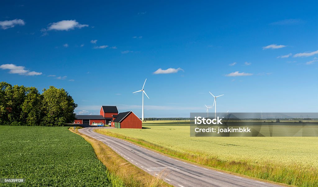 Campagne de suède coloré avec éoliennes dans le champ de blé - Photo de Éolienne libre de droits