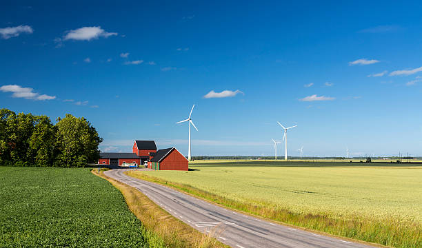 Colorful countryside of Sweden with wind turbines in wheat field stock photo