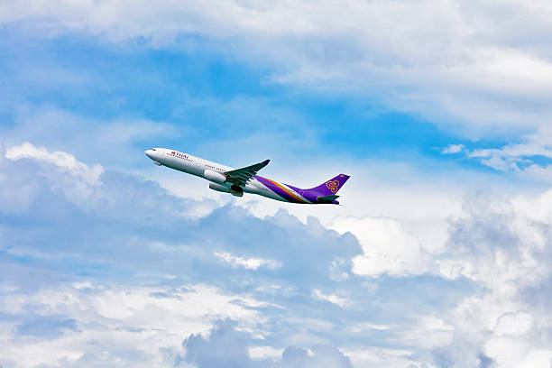 thai airways samolot w niebo - thai airways zdjęcia i obrazy z banku zdjęć