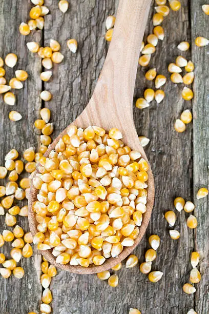 Photo of corn in wooden spoon