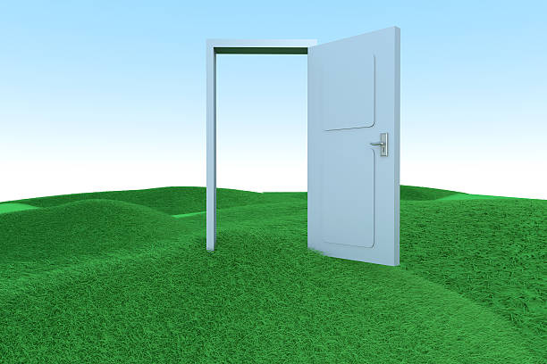 istock Door to freedom 545365064
