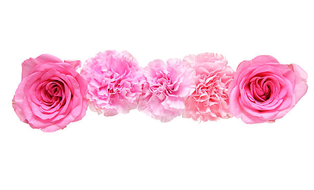 istock Flower head of carnation and rose 545367322