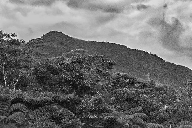 istock Leafy Mountains Landscape in Banos Ecuador 545368962