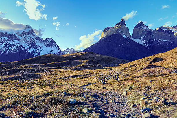 istock Torres del Paine - Patagonia, Chile 545369278
