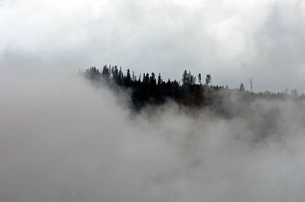 istock Amazing mountain landscape with dense fog. Carpathian Mountains 545371568
