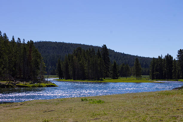 istock Firehole River winding through Yellowstone National Park 545372914