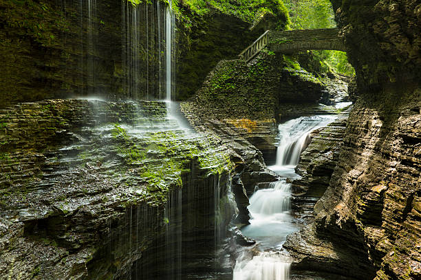 Watkins Glen State Park in upstate New York Watkins Glen State Park is located outside the village of Watkins Glen, south of Seneca Lake in Schuyler County in New York's Finger Lakes region. The park's lower part is near the village, while the upper part is open woodland. watkins glen stock pictures, royalty-free photos & images
