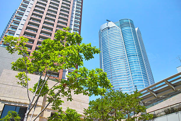 fresco verde e edifícios high-rise - roppongi imagens e fotografias de stock