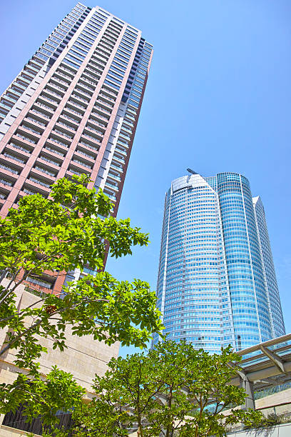 istock Fresh green and high-rise buildings 545374638