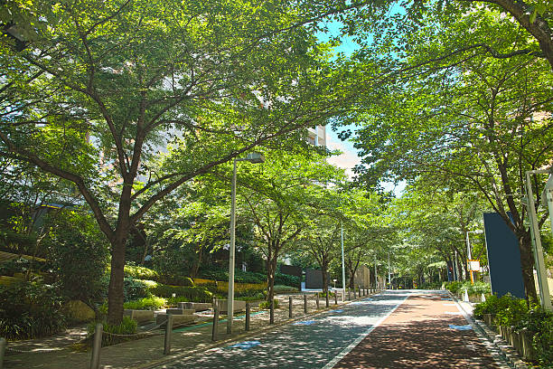 Sunlight Road (Roppongi)