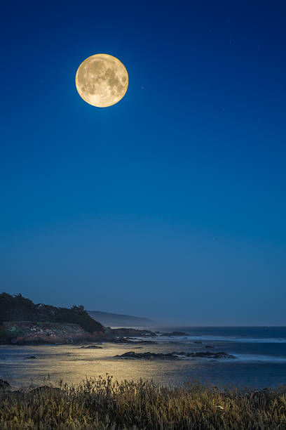 Harvest Moon Harvest Moon over ocean mendocino photos stock pictures, royalty-free photos & images
