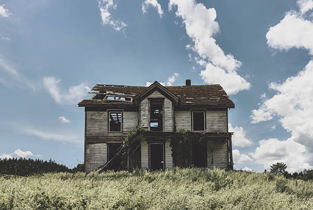 Silent in Summer A long forgotten farm house sits silently in Summer sunlight. run down stock pictures, royalty-free photos & images