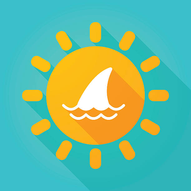 illustrazioni stock, clip art, cartoni animati e icone di tendenza di icona del sole ombra lunga con una pinna di squalo - spinarolo
