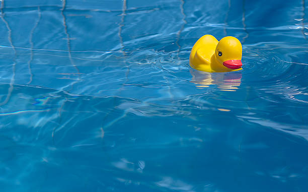 istock toy yellow duck in the pool 545421556
