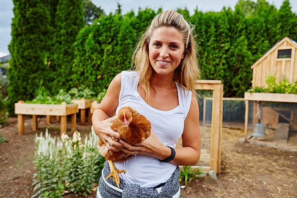istock rural beautiful woman holding chicken 545425132