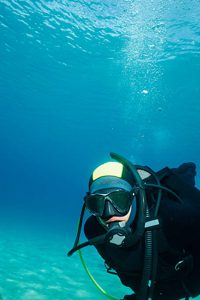 istock Scuba diving    Underwater Scuba diver in blue lagoon 545425254