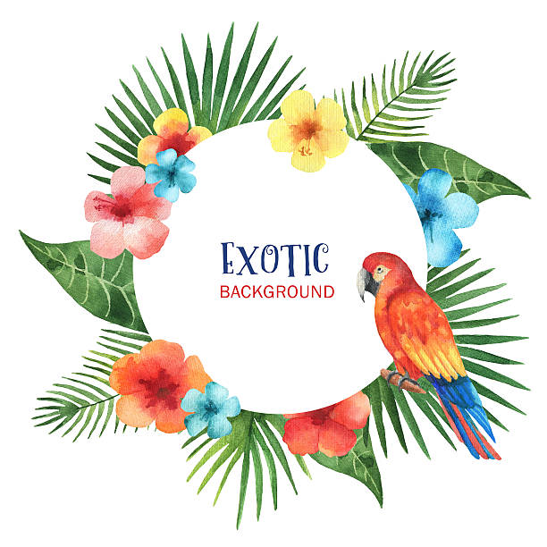 ilustrações de stock, clip art, desenhos animados e ícones de watercolor round frame from exotic leaves, parrots, hibiscus flowers. - tree single word green fruit