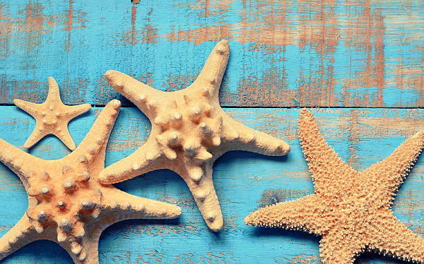 istock Starfish on a wooden blue background. 545434934