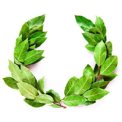 Laurel wreath made of dried branches and leaves isolated on a white background