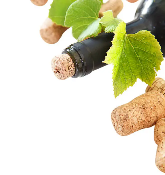 Photo of Corks and wine bottle on the white background