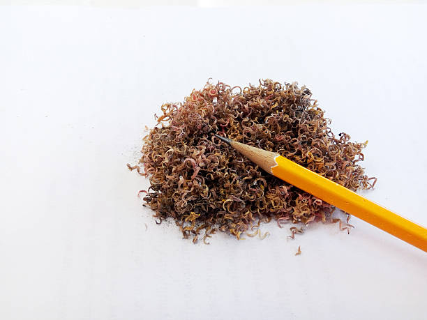 istock Orange pencil  on pencil scrap  on white background 545435876