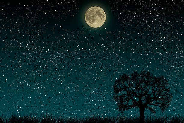 istock Beautiful blue night starry sky with full moon 545436794