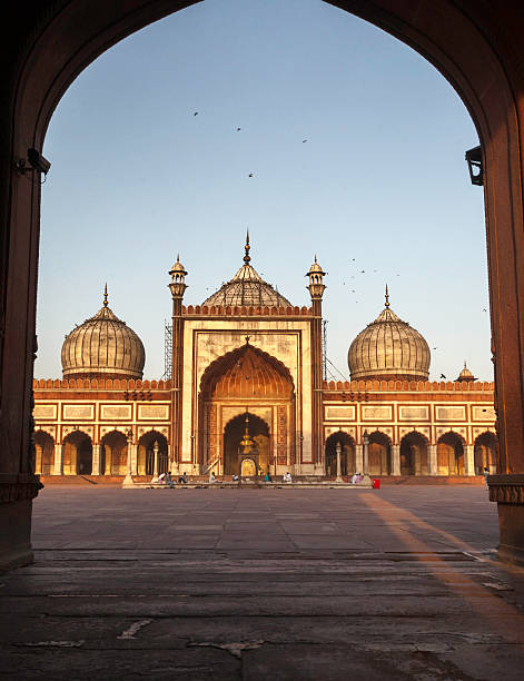 jama masjid, old delhi-inde - friday mosque photos et images de collection