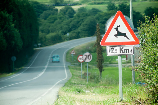 Wild animal, deer road warning sign.