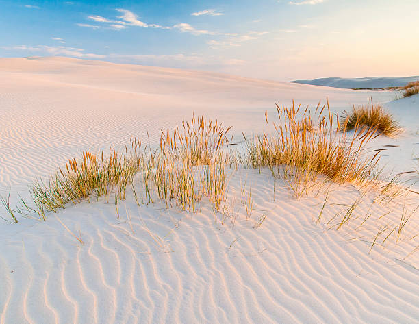 istock beautiful view of the coastal dunes 545443860