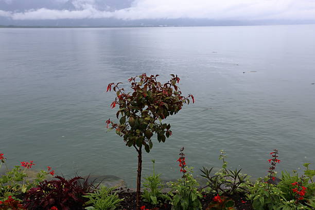 The amazing Lake Geneva in the summer