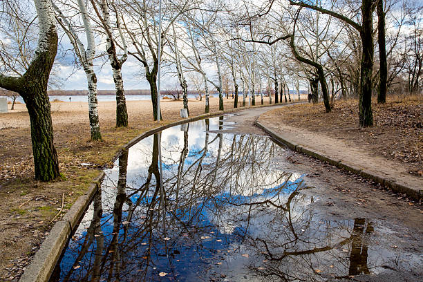 istock puddle on alley in park 545446848