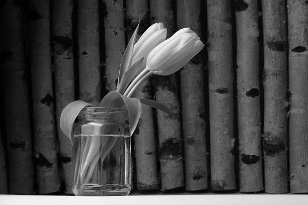 istock Yellow tulips on wood background. 545448672
