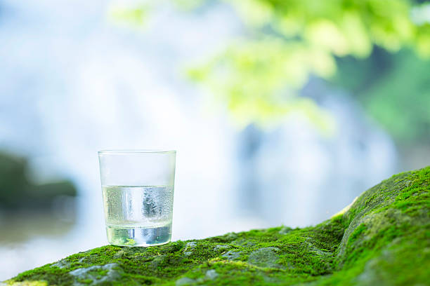istock Blessing of nature and safe water. 545448842