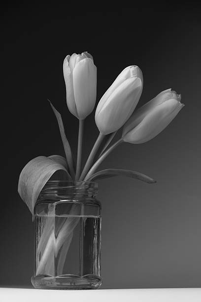 istock Three yellow tulips in a glass jar. 545449464