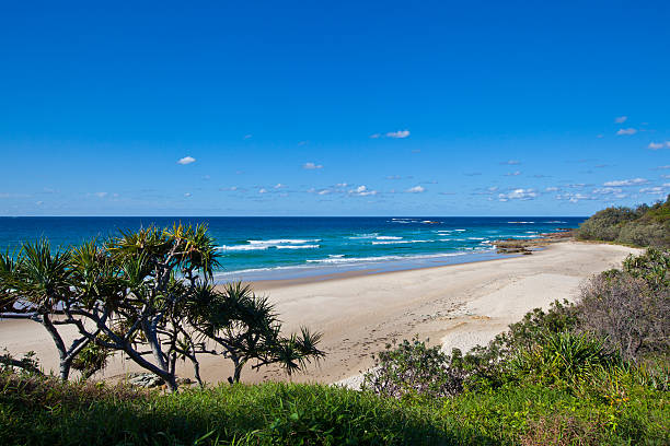 istock Australia, North Stradbroke Island 545449698