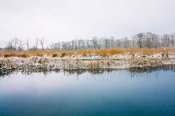 湖の凍結されていない水。雪が降る冬の風景。 - unfrozen ストックフォトと画像